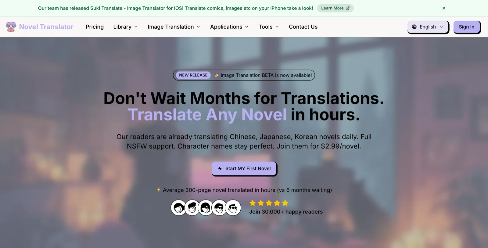 Novel Translator homepage screenshot — Upload an EPUB, get it back in English